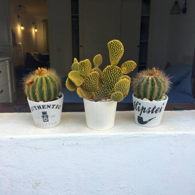 Vivienda Vacacional Cactus Costa Teguise Zewnętrze zdjęcie